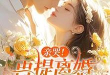 苏暖霍云琛小说的结局在哪可以看，亲哭！再提离婚，霍总彻底失控了免费阅读完结版-永恒文学
