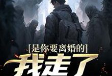 主人公是陈潜柳如烟的小说是你要离婚的，我走了你又哭？免费阅读-永恒文学