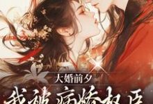 大婚前夕,我被病娇权臣强取豪夺了小说资源求分享,大婚前夕,我被病娇权臣强取豪夺了裴砚忱姜映晚在线阅读-永恒文学