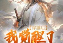 跪求主角是陈心安的小说书名叫什么-永恒文学
