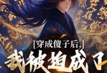 主角是 陈昭苏绫月的小说穿成傻子后，我被迫成了极品权臣在哪免费看-永恒文学