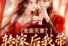精彩章节阅读宠妾灭妻?转嫁后我带皇子夺王位(魏芷殊)免费小说在线看-永恒文学