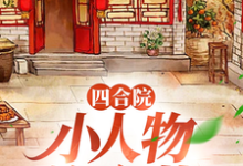 四合院：小人物许大茂热门小说(许大茂娄晓娥)在线阅读无弹窗-永恒文学