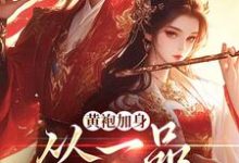 主角是卫小宝的小说黄袍加身，从一品侯爵开始在哪免费看-永恒文学