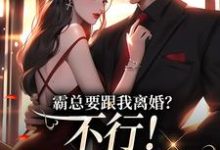 完结版霸总要跟我离婚？不行！我身无分文在哪免费看，明姝小说在线阅读-永恒文学