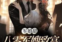 军婚甜:八零军嫂致富撩夫两不误免费阅读,陆宴寻姜枣大结局无弹窗-永恒文学