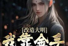 改造大明：我靠金手指夺江山小说资源求分享，改造大明：我靠金手指夺江山朱高炽在线阅读-永恒文学
