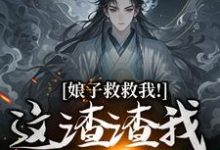 娘子救救我！这渣渣我虐不完小说资源求分享，娘子救救我！这渣渣我虐不完司寻在线阅读-永恒文学