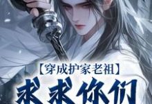 秦禾柳青元在线阅读,穿成护家老祖,求求你们积点德吧小说完结版章节-永恒文学