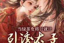 当绿茶女将计就计,引诱太子沦陷后免费阅读(楚鸣乔)小说免费读最新章节-永恒文学