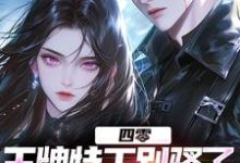 四零：王牌特工别骚了，敌军都怕了（柳龙）最新章节免费在线阅读-永恒文学
