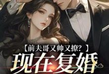前夫哥又帅又撩？现在复婚来得及吗免费阅读，安婳肖政大结局无弹窗-永恒文学
