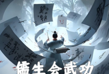 儒生会武功，开局抡语大成免费阅读，徐天大结局无弹窗-永恒文学