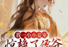 我一小小妾室,惊艳了侯爷很合理吧(叶青芷谢晋)最新章节免费阅读-永恒文学