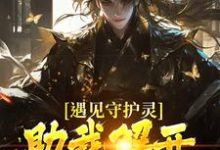 小说遇见守护灵，助我解开父亲的秘密主角林风免费阅读-永恒文学