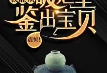 求助这本震惊!我能从破烂里鉴出宝贝!小说在哪里可以看完结版-永恒文学