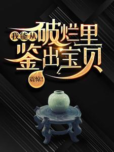 求助这本震惊！我能从破烂里鉴出宝贝！小说在哪里可以看完结版