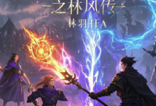 跪求主角是林风苏瑶的小说书名叫什么-永恒文学