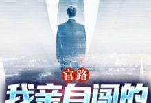 官路：我亲自闯的谁敢拦小说最新章节在哪里可以免费看-永恒文学