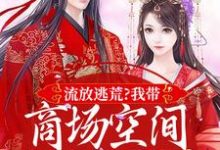 求助这本流放逃荒?我带商场空间活的舒服嘞小说在哪里可以看完结版-永恒文学