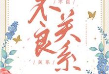 不良关系免费阅读,桑胤衡南枫大结局无弹窗-永恒文学