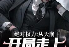绝对权力:从天崩开局走上官途巅峰精彩章节在线免费阅读(徐子杰宁傲雪)-永恒文学