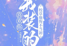 喜欢你我装的，校草他悔不当初精彩章节在线免费阅读（司难纪安桉）-永恒文学