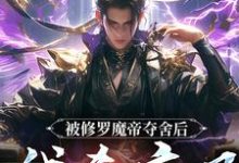 宋萧然小说的结局在哪可以看,被修罗魔帝夺舍后,我杀疯了免费阅读完结版-永恒文学