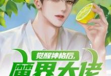 跪求主角是陈念的小说书名叫什么-永恒文学