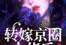 转嫁京圈大佬后，前任悔不当初（苏婉禾司北琛）最新章节免费阅读-永恒文学