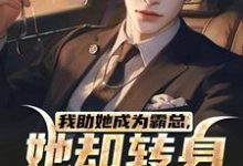 我助她成为霸总，她却转身不要我了免费阅读(陆寒楚若烟)小说免费读最新章节-永恒文学