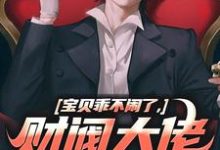 求助这本宝贝乖不闹了，财阀大佬日撩夜哄小说在哪里可以看完结版-永恒文学