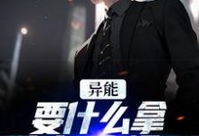 跪求主角是江辞江璃的小说书名叫什么-永恒文学