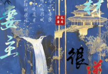 求助这本废材妻主很逆天小说在哪里可以看完结版-永恒文学