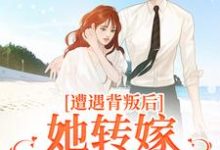 主角是叶千纯陆瑾川的小说遭遇背叛后，她转嫁大佬赢麻了在哪免费看-永恒文学
