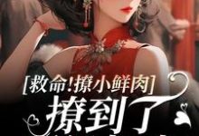 小说救命！撩小鲜肉撩到了顶级权贵！主角李善免费阅读-永恒文学