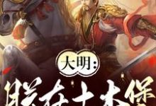 大明:朕在土木堡杀疯了小说资源求分享,大明:朕在土木堡杀疯了朱祁镇在线阅读-永恒文学