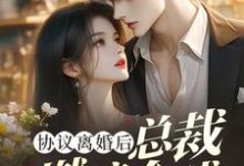 求助这本协议离婚后，总裁燃遍全球小说在哪里可以看完结版-永恒文学