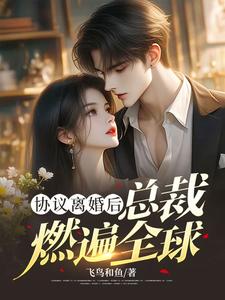 求助这本协议离婚后，总裁燃遍全球小说在哪里可以看完结版