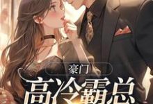 豪门:高冷霸总别太宠(主角苏颜汐傅霖宸)完结版免费阅读-永恒文学