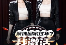 没钱回家过年？我激活0元购系统在线看，陈东林雨桐小说大结局在哪免费看-永恒文学