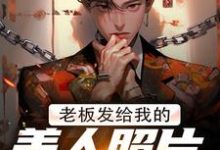 完结版老板发给我的美人照片是老板娘在哪免费看，林江宇小说在线阅读-永恒文学