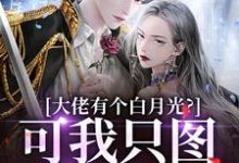 求助这本大佬有个白月光？可我只图他钱包啊小说在哪里可以看完结版-永恒文学