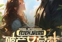 傻医离婚，破产女总裁捡到宝小说最新章节在哪里可以免费看-永恒文学