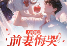天降倒追，前妻悔哭求复合免费阅读(李沐风)小说免费读最新章节-永恒文学