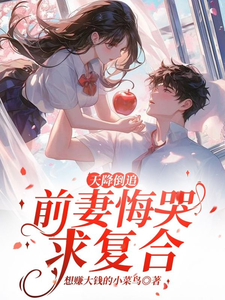 天降倒追，前妻悔哭求复合免费阅读(李沐风)小说免费读最新章节