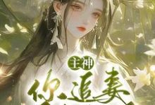 夏溪苏礼在线阅读，主神，你追妻又失败了？小说完结版章节-永恒文学