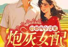 苏青青陆长征最新章节结婚四年没见,炮灰女配她不离了免费阅读-永恒文学