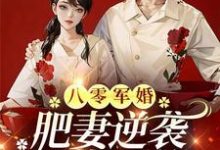 跪求主角是周琳琳严屹辰的小说书名叫什么-永恒文学