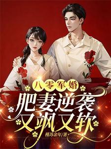 跪求主角是周琳琳严屹辰的小说书名叫什么